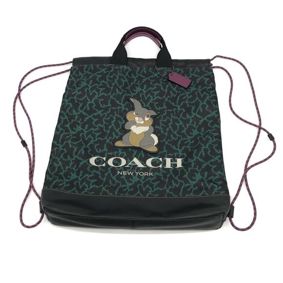 DISNEY x COACH Terrain Drawstring Backpack with Wavy Animal Print and Thumper - Picture 2 of 15